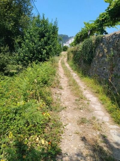 O Concello saca a licitación o Ensanche e pavimentación do Camiño de guillabai en Dorrón por 154.800 euros