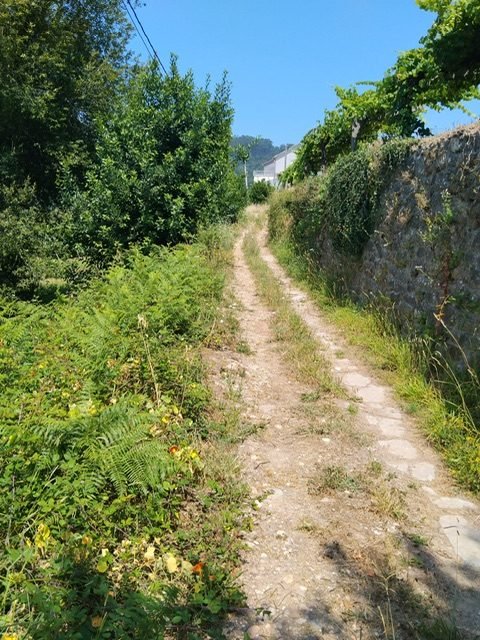 O Concello saca a licitación o Ensanche e pavimentación do Camiño de guillabai en Dorrón por 154.800 euros